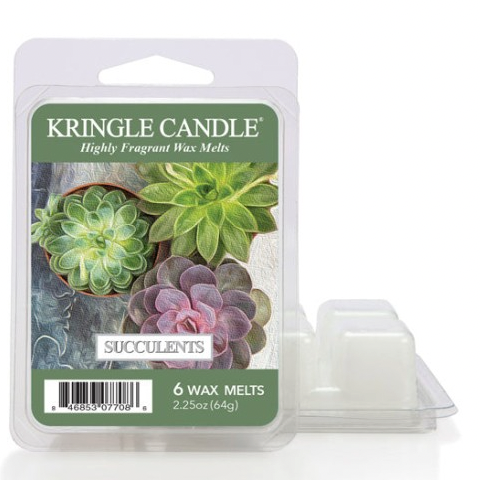 Kringle-melt-succulents