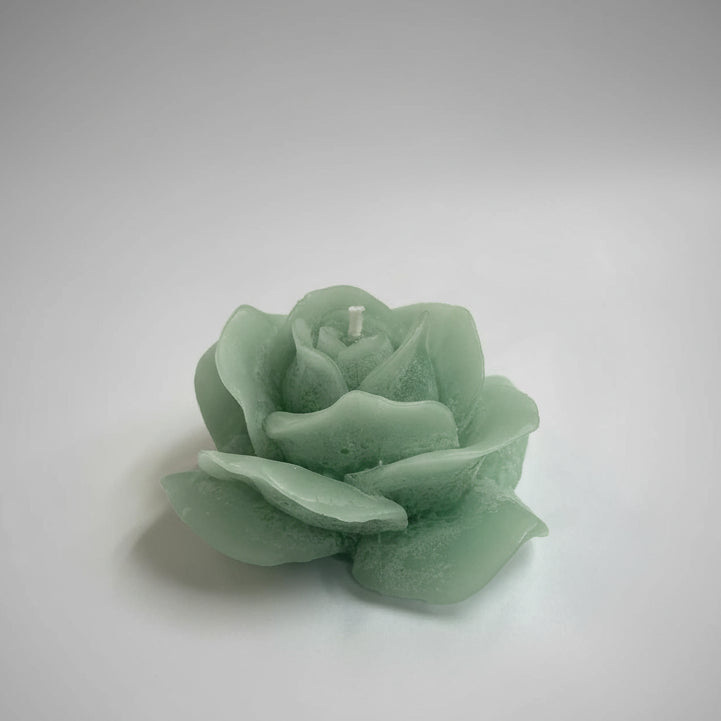 Green rose-shaped object on a white surface
